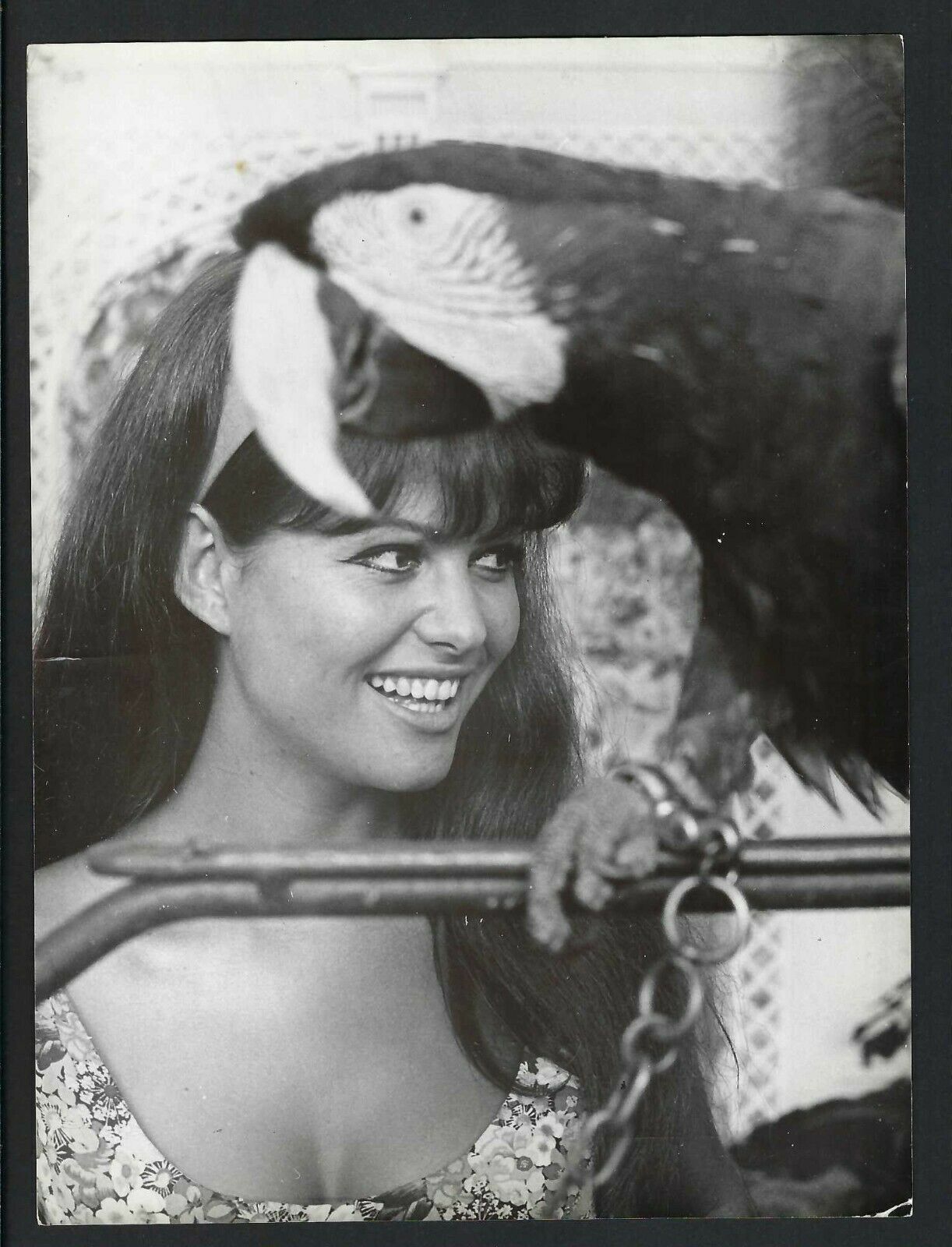 Claudia Cardinale nue - Photo leaked