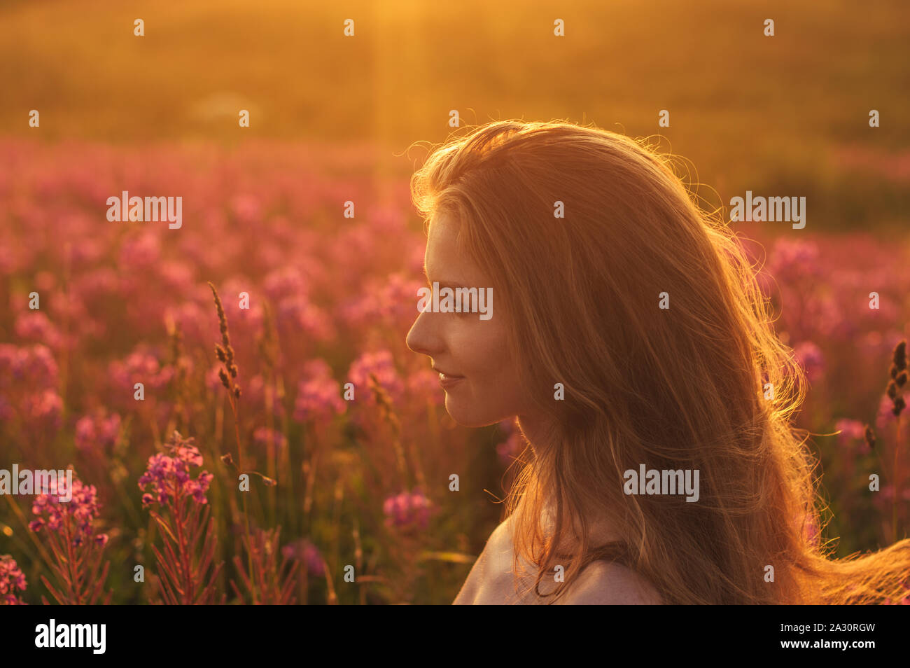 Sally Field nue - Photo leaked