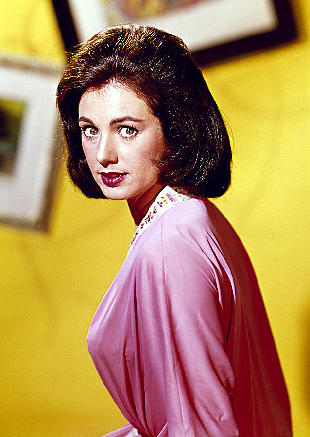 Shirley Jones nue - Photo leaked